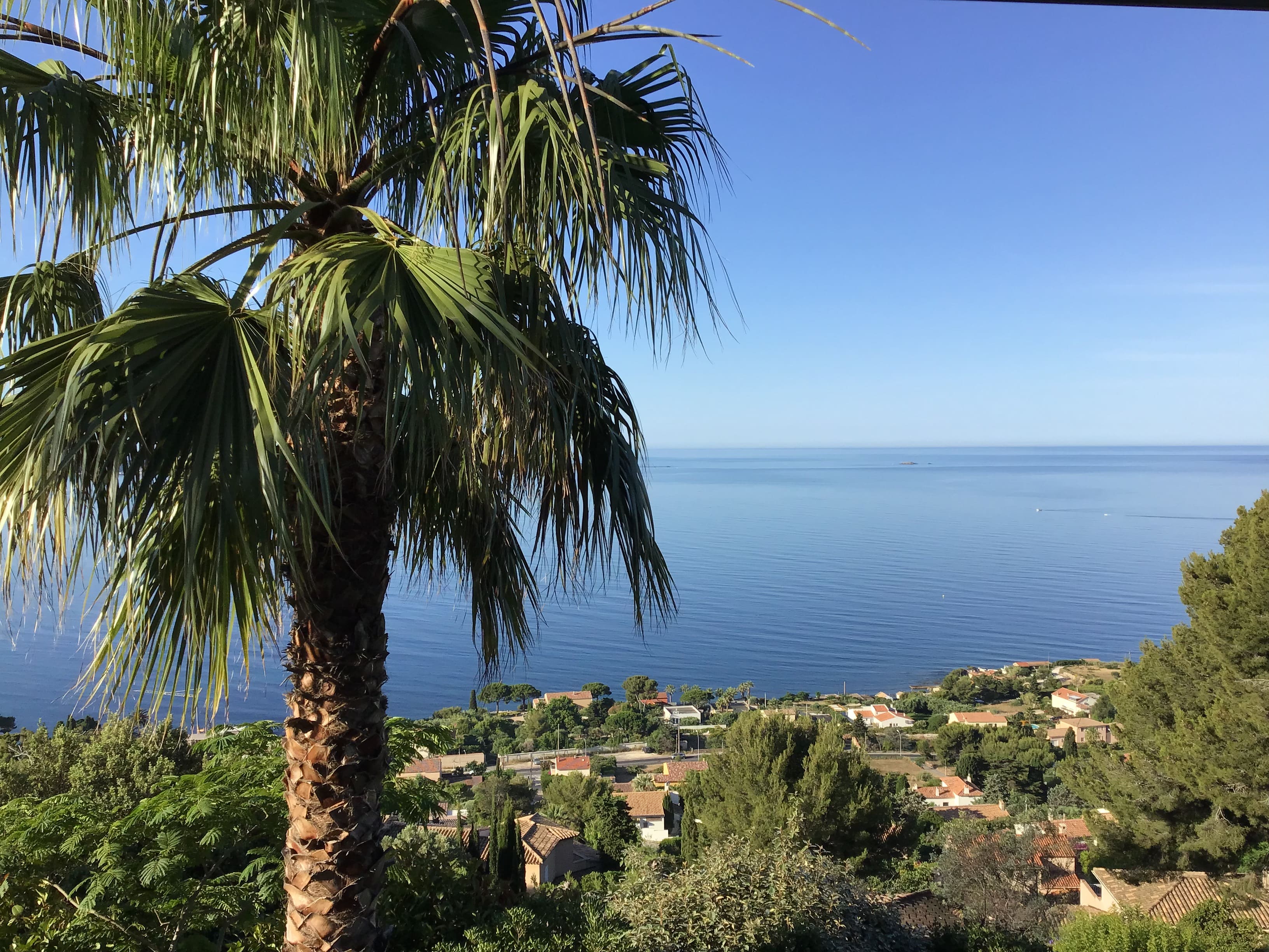 Vue de la salle à manger sur palmier et mer